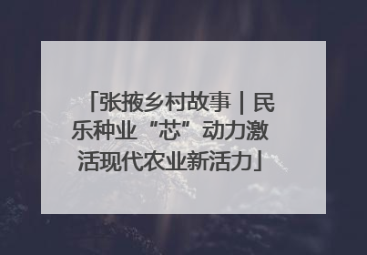 张掖乡村故事｜民乐种业“芯”动力激活现代农业新活力
