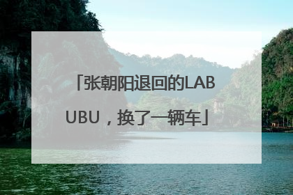 张朝阳退回的LABUBU，换了一辆车