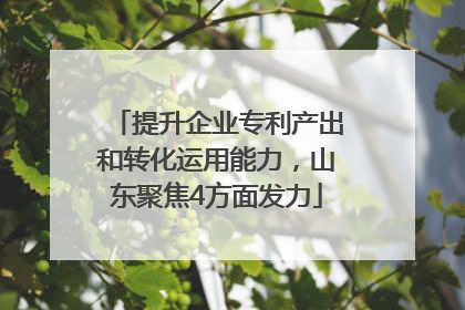 提升企业专利产出和转化运用能力，山东聚焦4方面发力