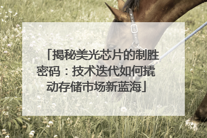 揭秘美光芯片的制胜密码：技术迭代如何撬动存储市场新蓝海