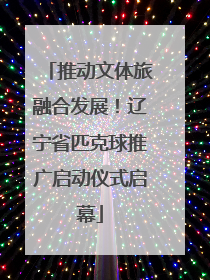 推动文体旅融合发展！辽宁省匹克球推广启动仪式启幕