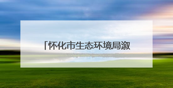 怀化市生态环境局溆浦分局：环保服务暖人心 信用帮扶伴企行
