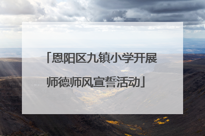 恩阳区九镇小学开展师德师风宣誓活动