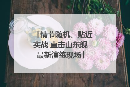 情节随机、贴近实战 直击山东舰最新演练现场