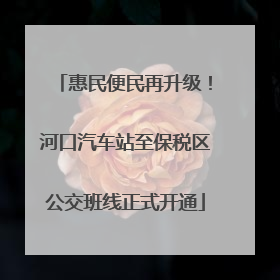 惠民便民再升级！河口汽车站至保税区公交班线正式开通