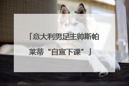 意大利男足主帅斯帕莱蒂“自宣下课”