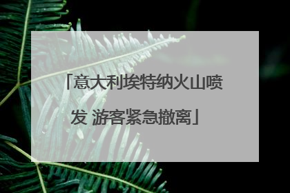意大利埃特纳火山喷发 游客紧急撤离