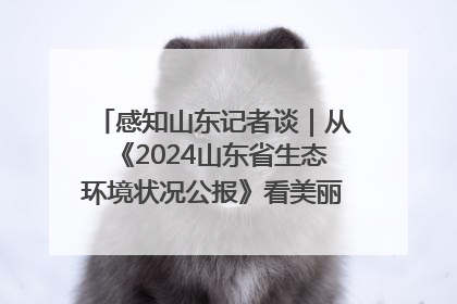 感知山东记者谈｜从《2024山东省生态环境状况公报》看美丽山东建设的“成绩单”与“任务书”