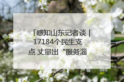 感知山东记者谈｜17184个民生支点 丈量出“服务淄博”的文明温度