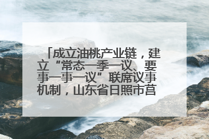 成立油桃产业链，建立“常态一季一议、要事一事一议”联席议事机制，山东省日照市莒县果庄镇——13个党小组“全周期”育果