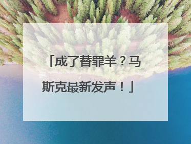 成了替罪羊？马斯克最新发声！