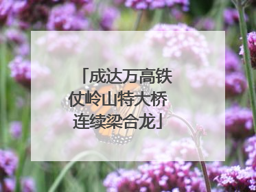 成达万高铁仗岭山特大桥连续梁合龙