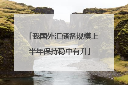 我国外汇储备规模上半年保持稳中有升
