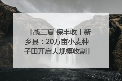 战三夏 保丰收丨新乡县：20万亩小麦种子田开启大规模收割