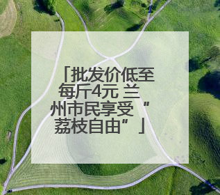 批发价低至每斤4元 兰州市民享受“荔枝自由”