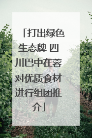 打出绿色生态牌 四川巴中在蓉对优质食材进行组团推介