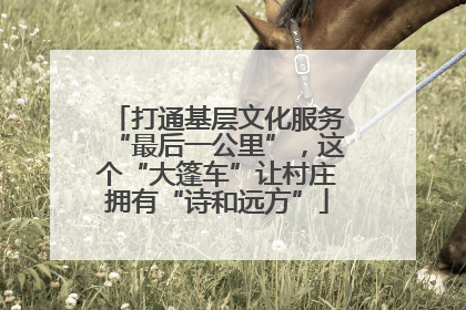 打通基层文化服务“最后一公里”，这个“大篷车”让村庄拥有“诗和远方”