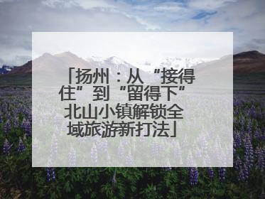 扬州：从“接得住”到“留得下” 北山小镇解锁全域旅游新打法
