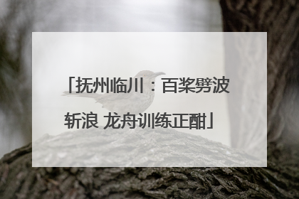 抚州临川：百桨劈波斩浪 龙舟训练正酣