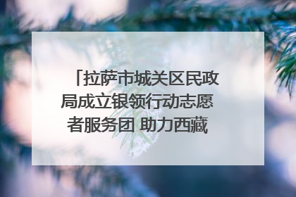 拉萨市城关区民政局成立银领行动志愿者服务团 助力西藏银发经济发展