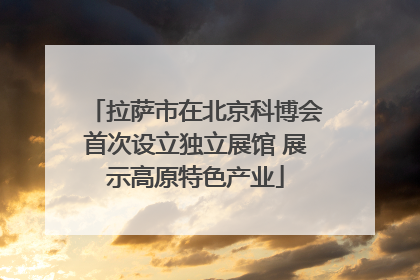 拉萨市在北京科博会首次设立独立展馆 展示高原特色产业