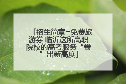 招生简章=免费旅游券 临沂这所高职院校的高考服务“卷”出新高度