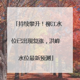 持续攀升！柳江水位已出现复涨，洪峰水位最新预测