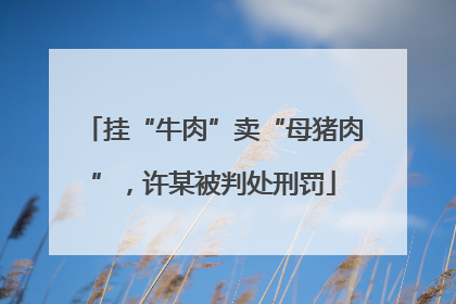 挂“牛肉”卖“母猪肉”，许某被判处刑罚