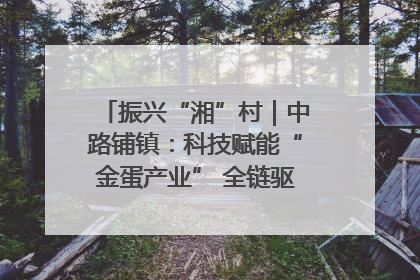 振兴“湘”村｜中路铺镇：科技赋能“金蛋产业” 全链驱动乡村振兴