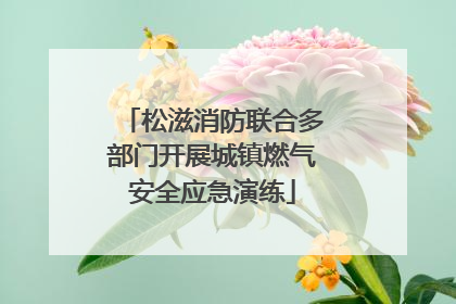 松滋消防联合多部门开展城镇燃气安全应急演练