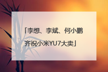 李想、李斌、何小鹏齐祝小米YU7大卖