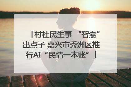 村社民生事 “智囊”出点子 嘉兴市秀洲区推行AI“民情一本账”
