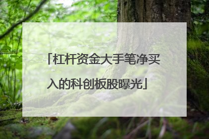 杠杆资金大手笔净买入的科创板股曝光