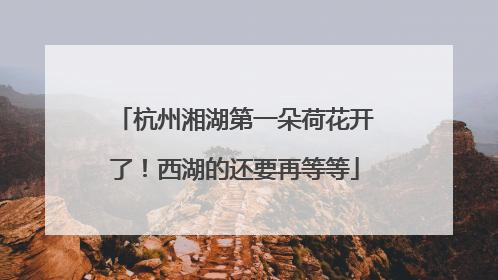 杭州湘湖第一朵荷花开了！西湖的还要再等等
