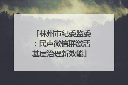 林州市纪委监委：民声微信群激活基层治理新效能