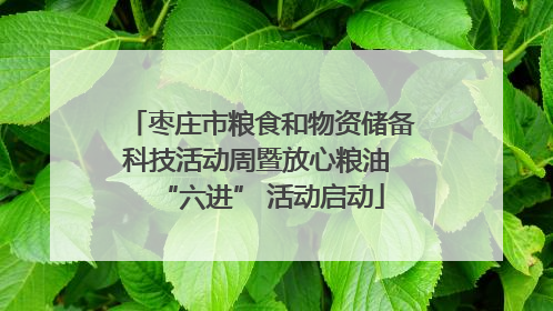 枣庄市粮食和物资储备科技活动周暨放心粮油 “六进” 活动启动