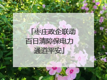枣庄政企联动百日清障保电力通道平安