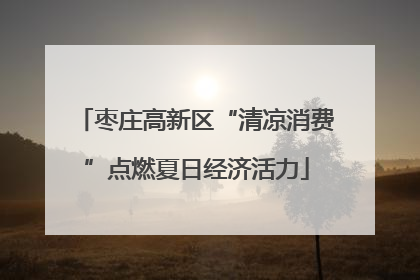 枣庄高新区“清凉消费”点燃夏日经济活力