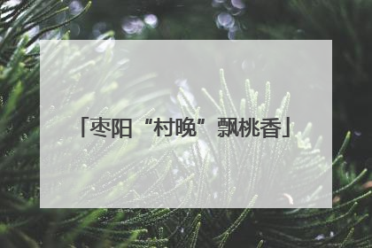 枣阳“村晚”飘桃香