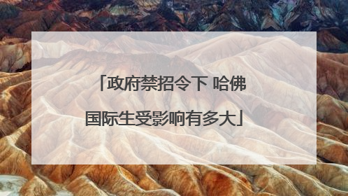 政府禁招令下 哈佛国际生受影响有多大