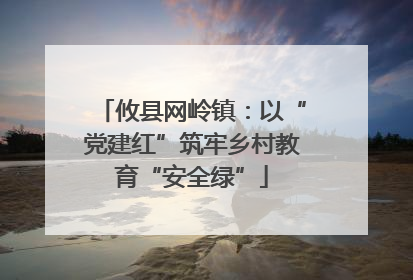 攸县网岭镇：以“党建红”筑牢乡村教育“安全绿”