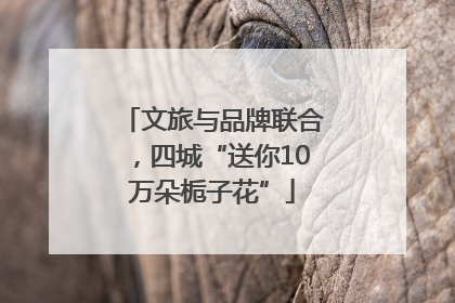 文旅与品牌联合，四城“送你10万朵栀子花”