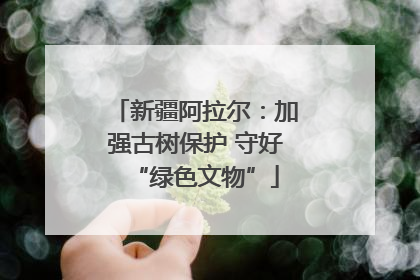 新疆阿拉尔：加强古树保护 守好“绿色文物”
