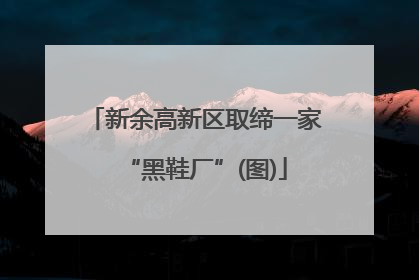 新余高新区取缔一家“黑鞋厂”(图)