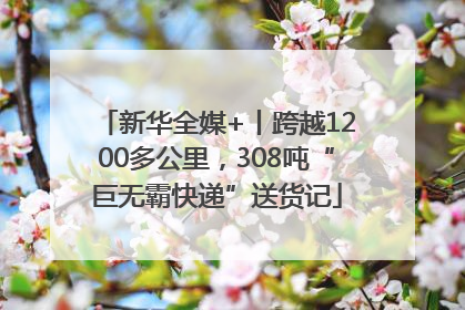 新华全媒+丨跨越1200多公里，308吨“巨无霸快递”送货记