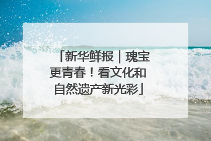 新华鲜报｜瑰宝更青春！看文化和自然遗产新光彩