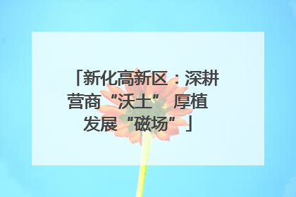 新化高新区：深耕营商“沃土” 厚植发展“磁场”