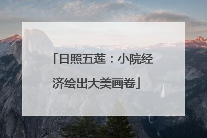 日照五莲：小院经济绘出大美画卷