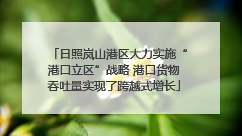 日照岚山港区大力实施“港口立区”战略 港口货物吞吐量实现了跨越式增长