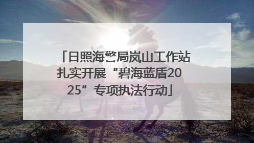 日照海警局岚山工作站扎实开展“碧海蓝盾2025”专项执法行动